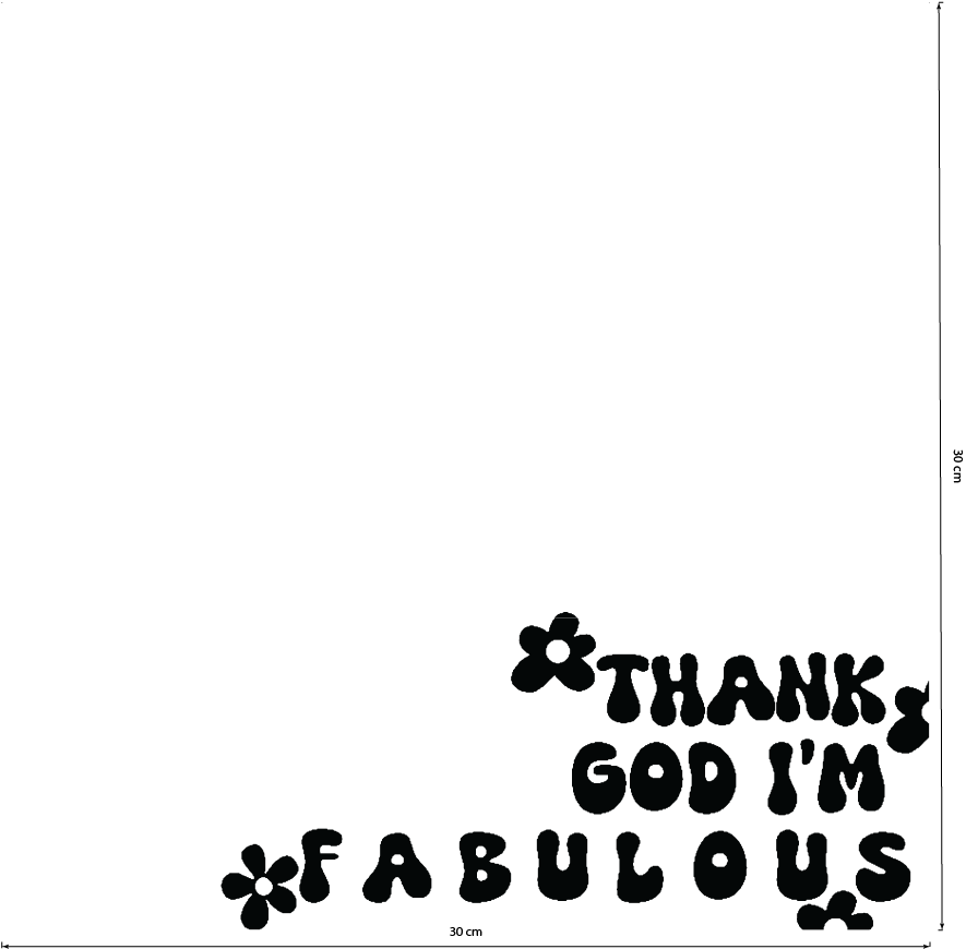 Thank God I’m Fabulous mirror